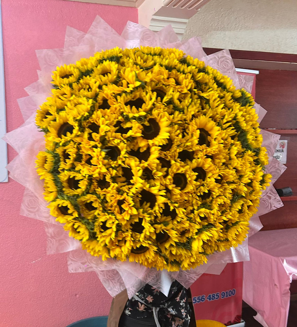 100 Girasoles