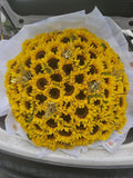 50 Girasoles
