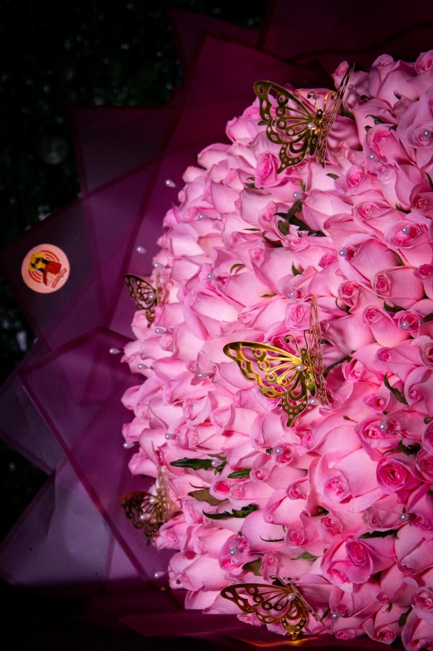 500 Rosas