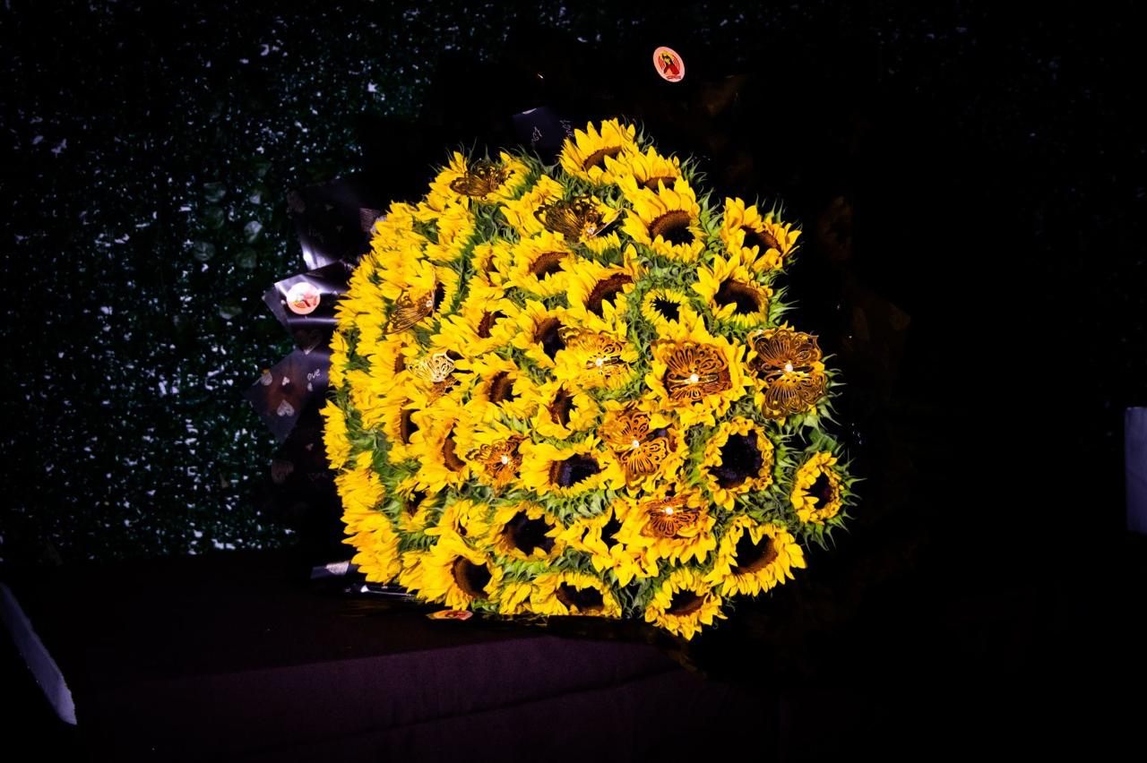 50 Girasoles