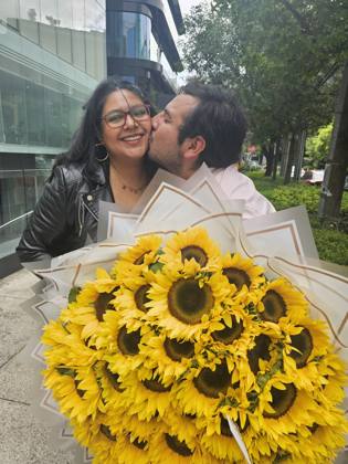 50 Girasoles
