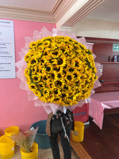 100 Girasoles